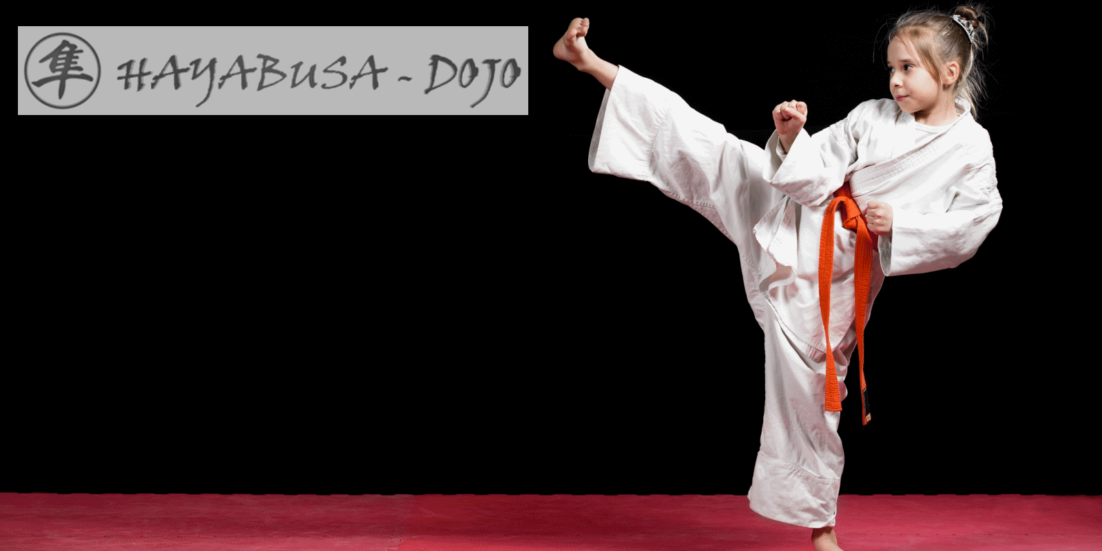 Hayabusa e.V. Berlin Shotokan Karate