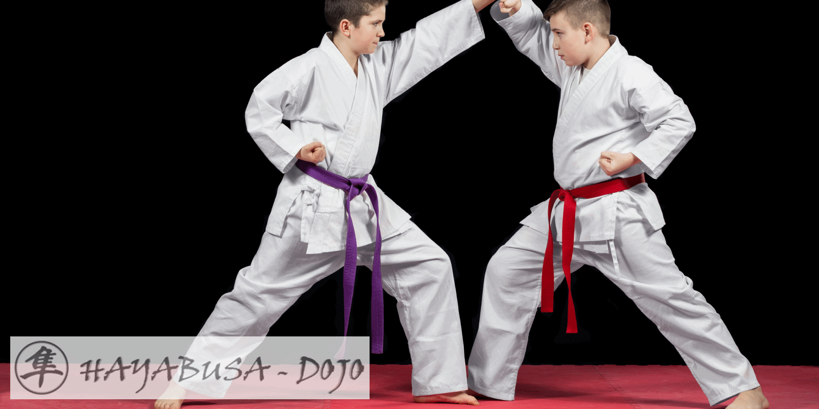 Hayabusa e.V. Berlin Shotokan Karate